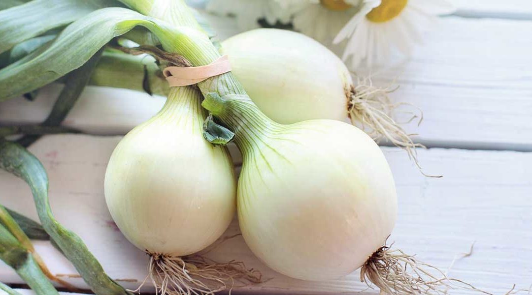 Knowing Your Onions Knowing Your Onions